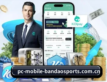 半岛体育app官方下载 APP 深度功能