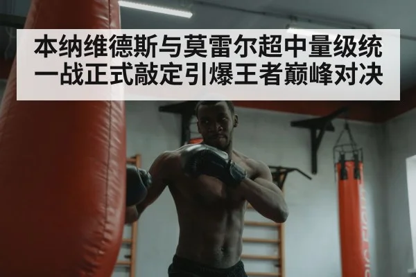 boxer training heavy bag
